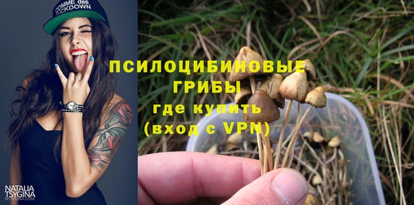 молекула духа Алзамай