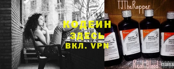молекула духа Алзамай