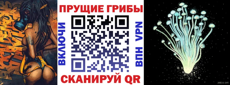 shop состав  даркнет сайт  Бобров  Галлюциногенные грибы Cubensis 